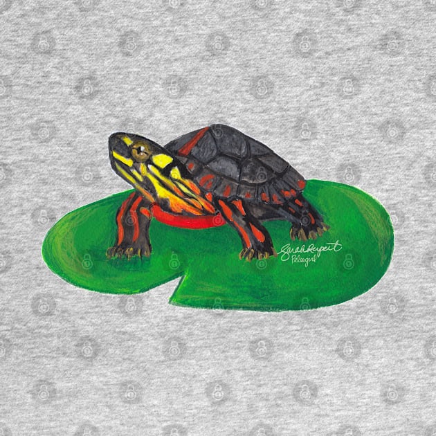 Painted Turtle Baby by Peleegirl